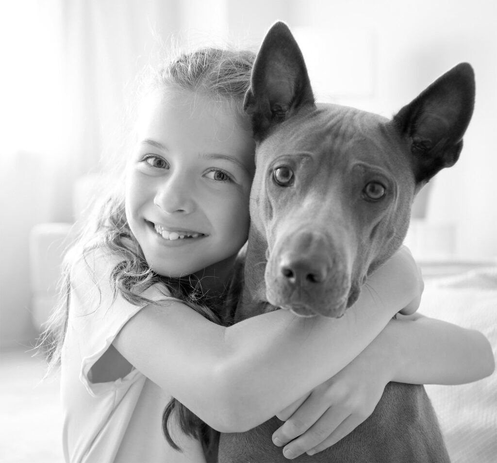 Startseite hund und kind sw fotostock kolo