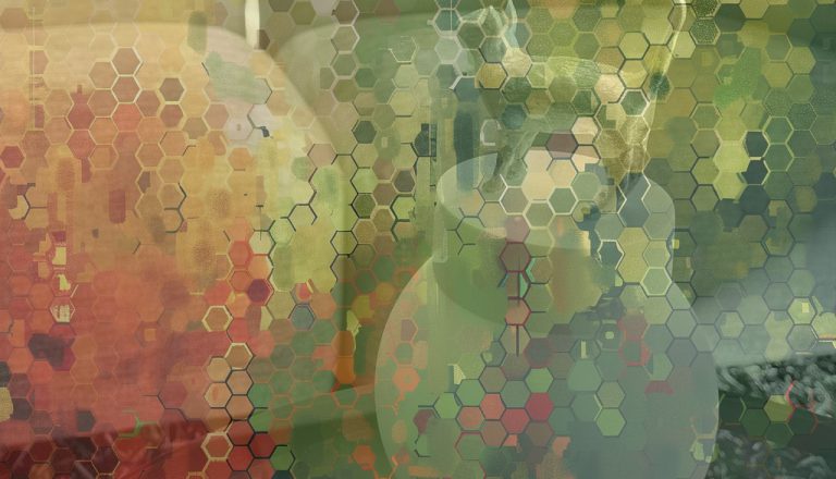 mischung 2 urne katze wald bunt